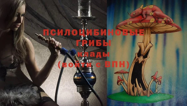 кокаин колумбия Алексин