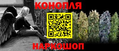 прущие грибы Кунгур