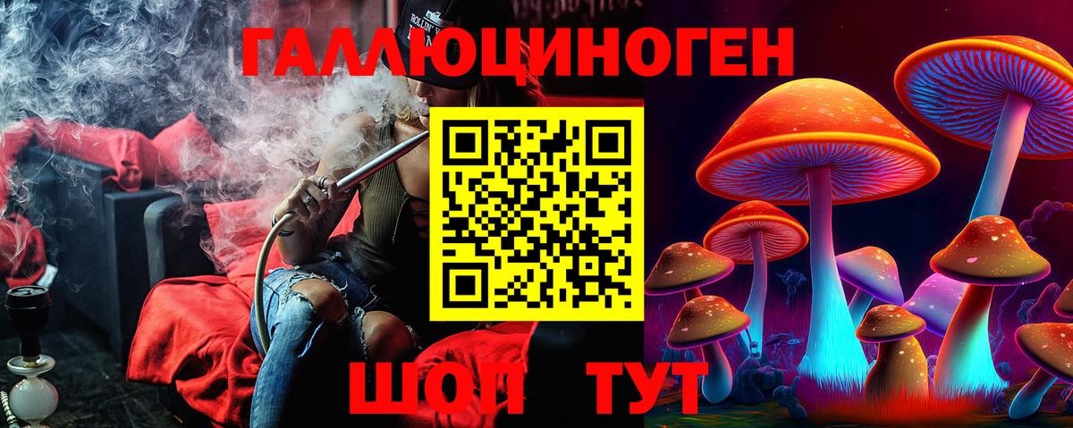 Псилоцибиновые грибы прущие грибы  Вход с VPN  Галлюциногенные грибы GOLDEN TEACHER  Ейск 
