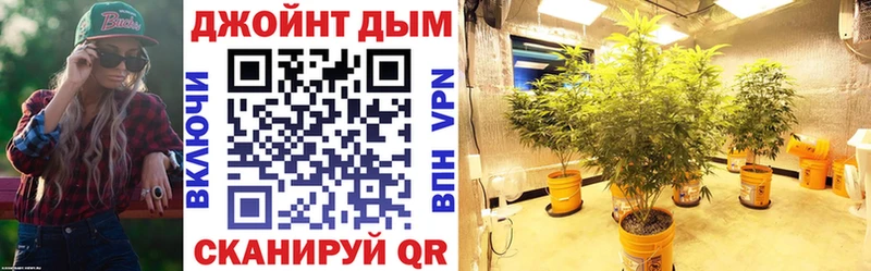 omg зеркало Ейск Конопля ГИДРОПОН